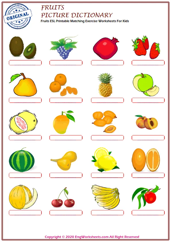 Fruits ESL Printable Matching Exercise Worksheets For Kids