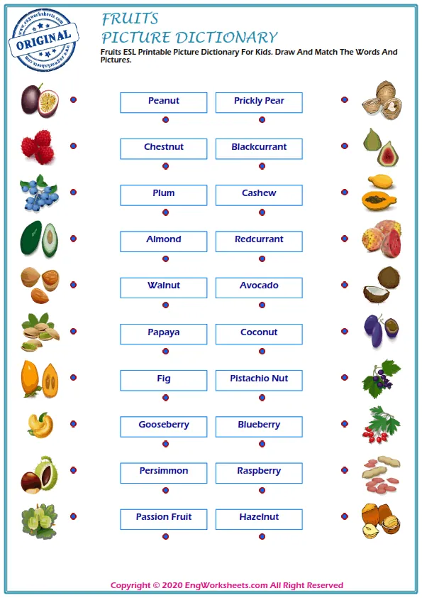 Fruits ESL Printable Picture Dictionary For Kids. Draw And Match The Words And Pictures. Worksheet Preview