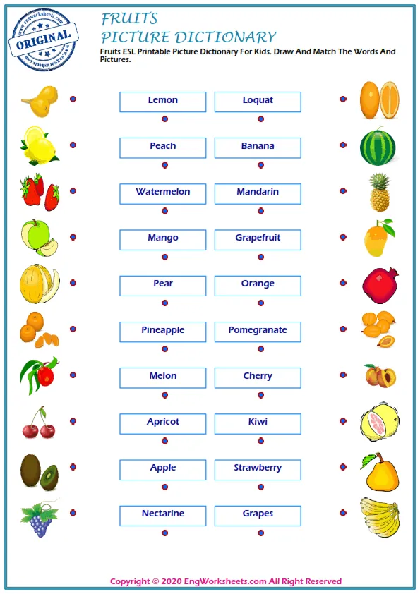 Fruits ESL Printable Picture Dictionary For Kids. Draw And Match The Words And Pictures.
