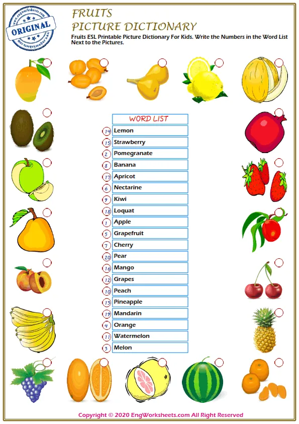 Fruits ESL Printable Picture Dictionary For Kids. Write the Numbers in the Word List Next to the Pictures. Worksheet Preview