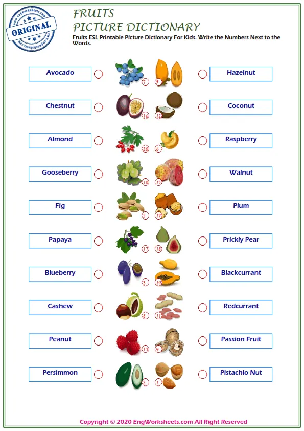 Fruits ESL Printable Picture Dictionary For Kids. Write the Numbers Next to the Words. Worksheet Preview