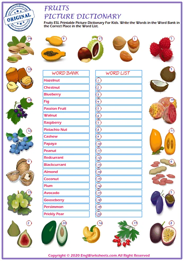 Fruits ESL Printable Picture Dictionary For Kids. Write the Words in the Word Bank in the Correct Place in the Word List. Worksheet Preview