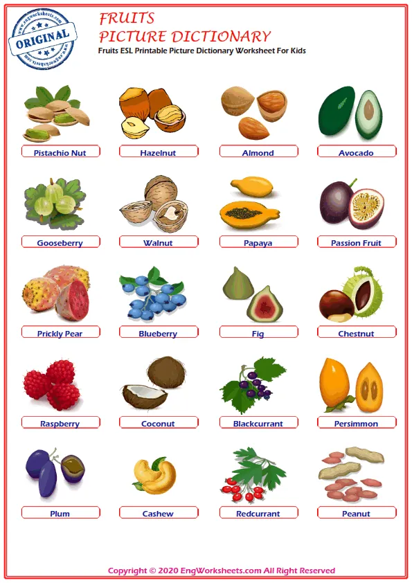 Fruits ESL Printable Picture Dictionary Worksheet For Kids Worksheet Preview