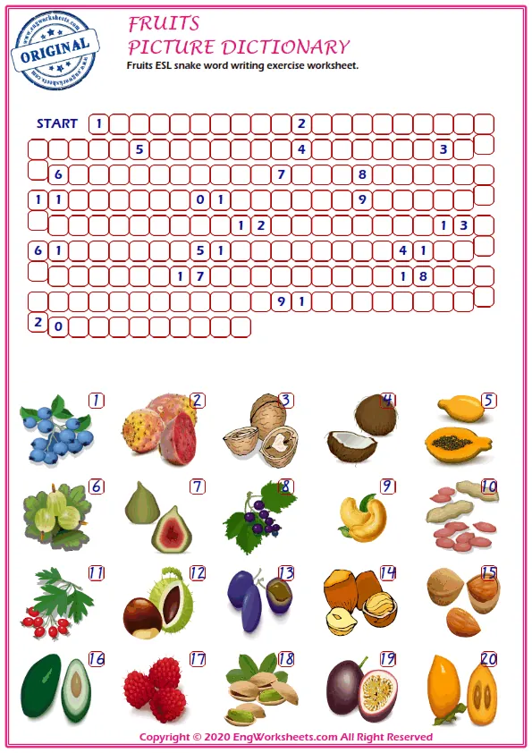 Fruits ESL snake word writing exercise worksheet. Worksheet Preview