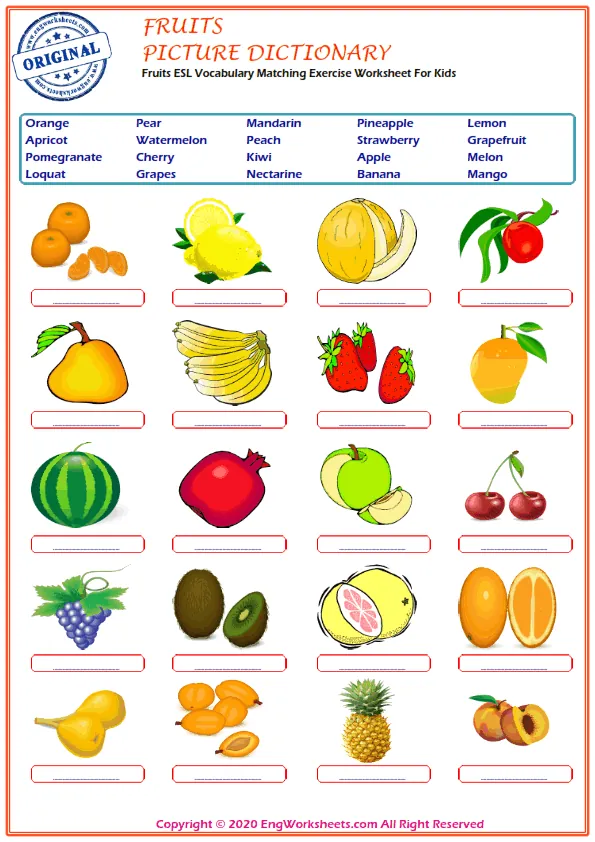 Fruits ESL Vocabulary Matching Exercise Worksheet For Kids