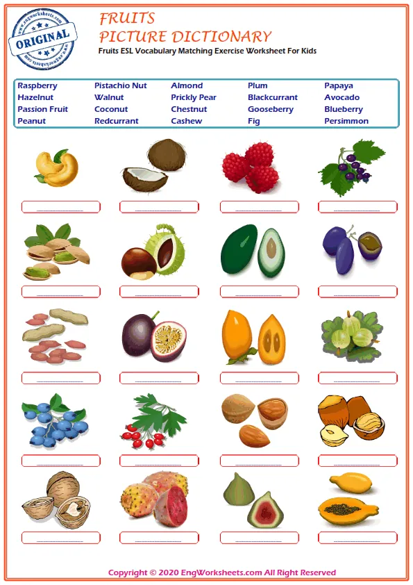 Fruits ESL Vocabulary Matching Exercise Worksheet For Kids Worksheet Preview