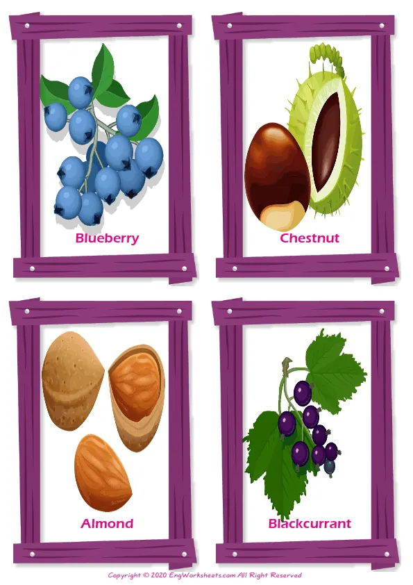 Fruits vocabulary worksheet with words, four images per page Worksheet Preview