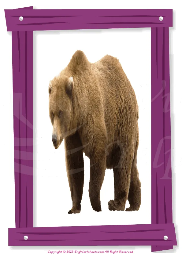 Full-page wordless Animals English vocabulary worksheet Worksheet Preview