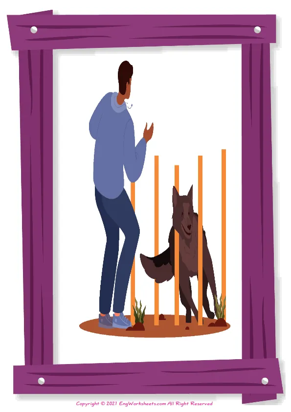 Full-page wordless Dog Agility English vocabulary worksheet Worksheet Preview