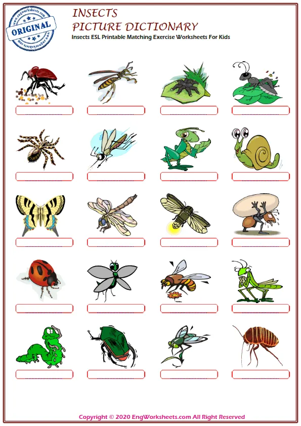 Insects ESL Printable Matching Exercise Worksheets For Kids Worksheet Preview