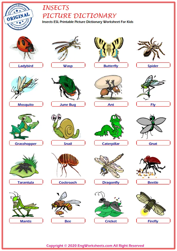 Insects ESL Printable Picture Dictionary Worksheet For Kids Worksheet Preview