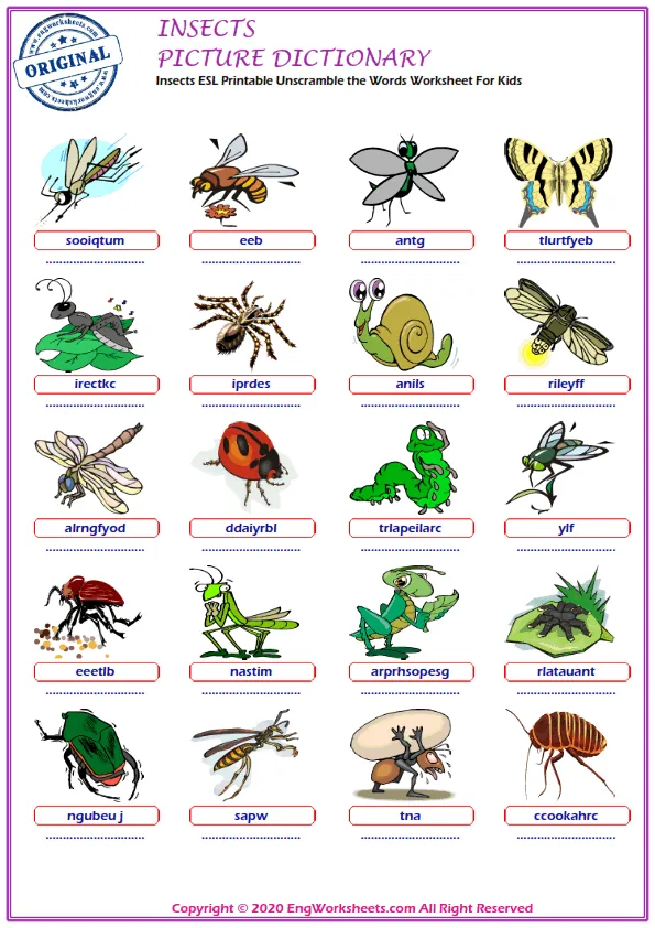 Insects ESL Printable Unscramble the Words Worksheet For Kids Worksheet Preview