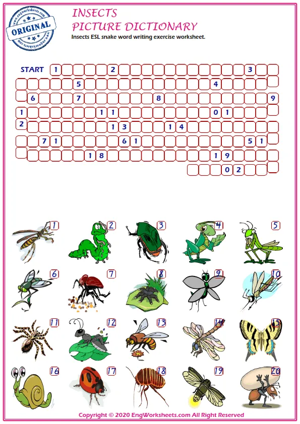 Insects ESL snake word writing exercise worksheet. Worksheet Preview