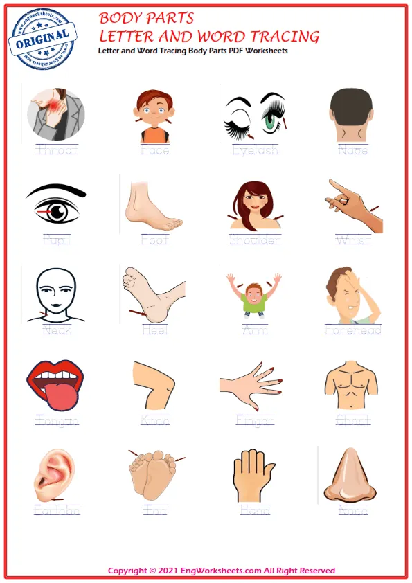 Letter and Word Tracing Body Parts PDF Worksheets Worksheet Preview