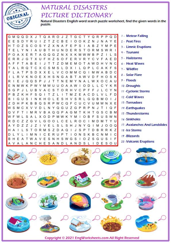 Natural Disasters English word search puzzle worksheet, find the given words in the puzzle. Worksheet Preview