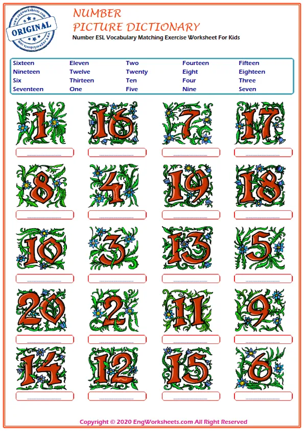 Number ESL Vocabulary Matching Exercise Worksheet For Kids