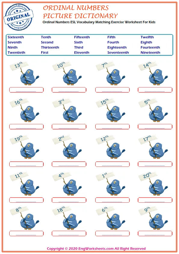 Ordinal Numbers ESL Vocabulary Matching Exercise Worksheet For Kids