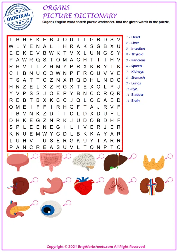 Letter and Word Tracing Organs PDF Worksheets Worksheet Preview