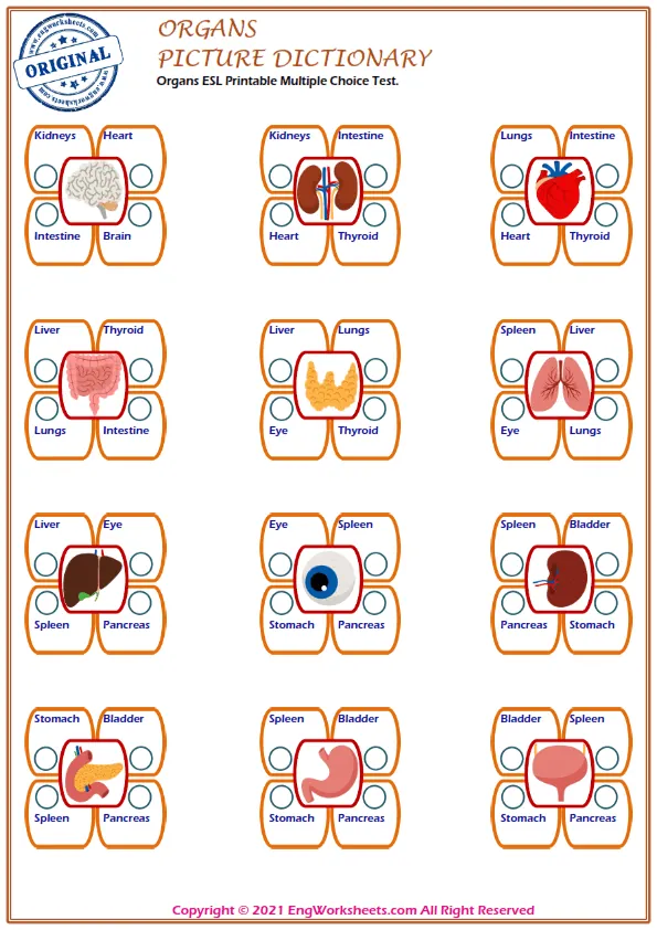 Organs ESL Printable Multiple Choice Test. Worksheet Preview