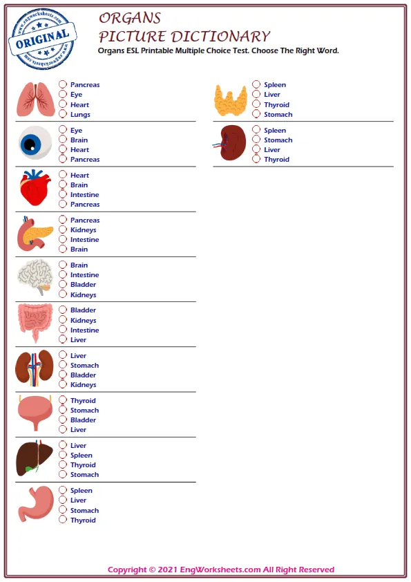 Organs ESL Printable Multiple Choice Test. Choose The Right Word. Worksheet Preview