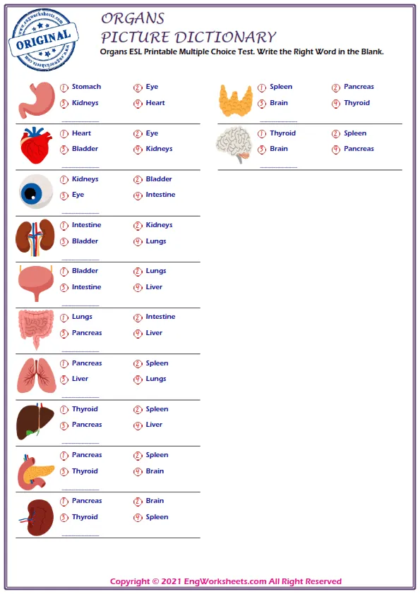 Organs ESL Printable Multiple Choice Test. Write the Right Word in the Blank. Worksheet Preview