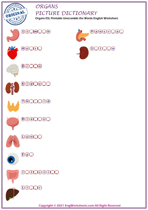 Organs ESL Printable Unscramble the Words English Worksheet. Worksheet Preview