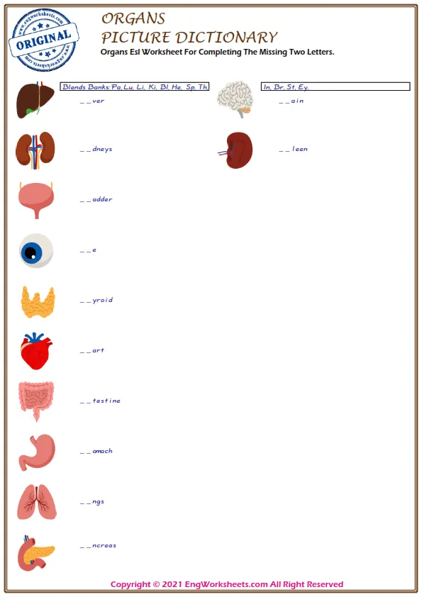 Organs Esl Worksheet For Completing The Missing Two Letters. Worksheet Preview
