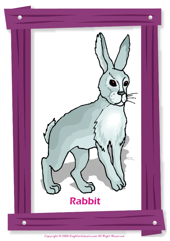 Pets English vocabulary worksheet with full-page words Worksheet Preview