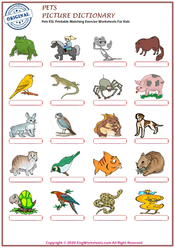 Pets ESL Printable Matching Exercise Worksheets For Kids Worksheet Preview