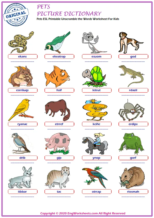 Pets ESL Printable Unscramble the Words Worksheet For Kids Worksheet Preview