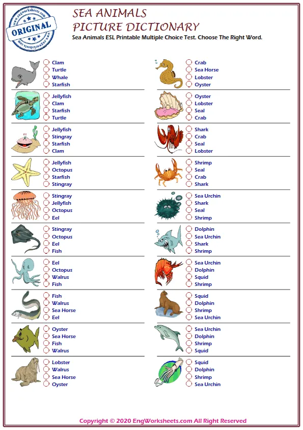 Sea Animals ESL Printable Multiple Choice Test. Choose The Right Word. Worksheet Preview