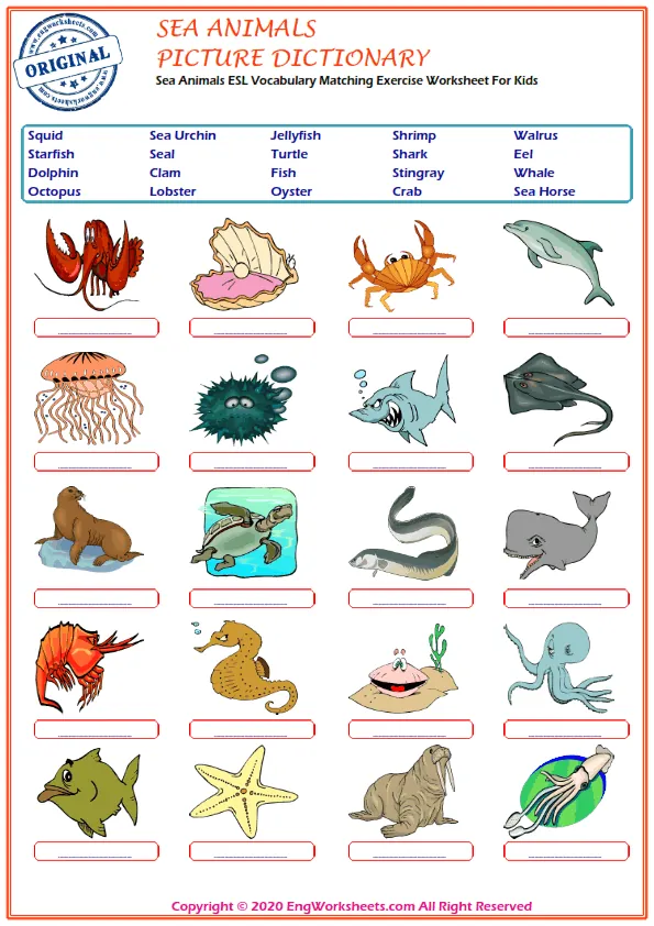 Sea Animals ESL Vocabulary Matching Exercise Worksheet For Kids