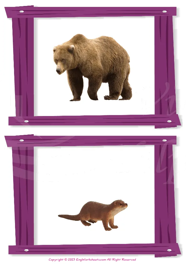 Wordless Animals vocabulary worksheet with two images per page Worksheet Preview