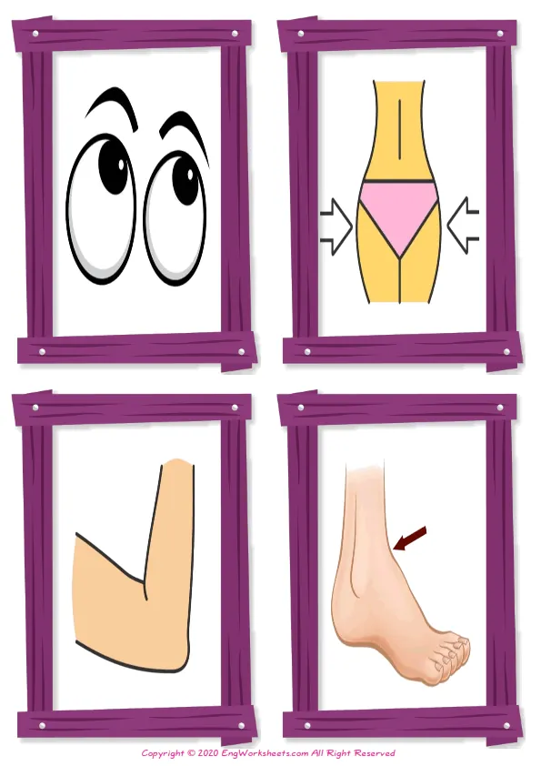 Wordless Body Parts vocabulary worksheet with four images per page Worksheet Preview