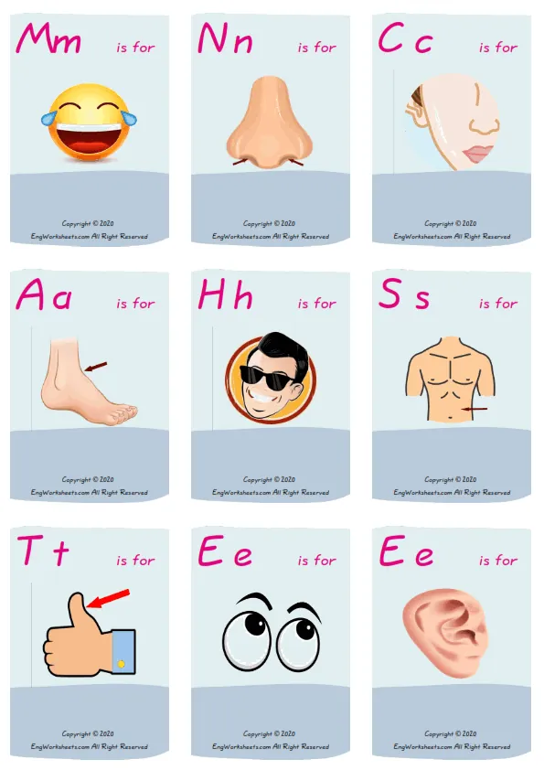 Wordless Body Parts vocabulary worksheet with nine images per page Worksheet Preview