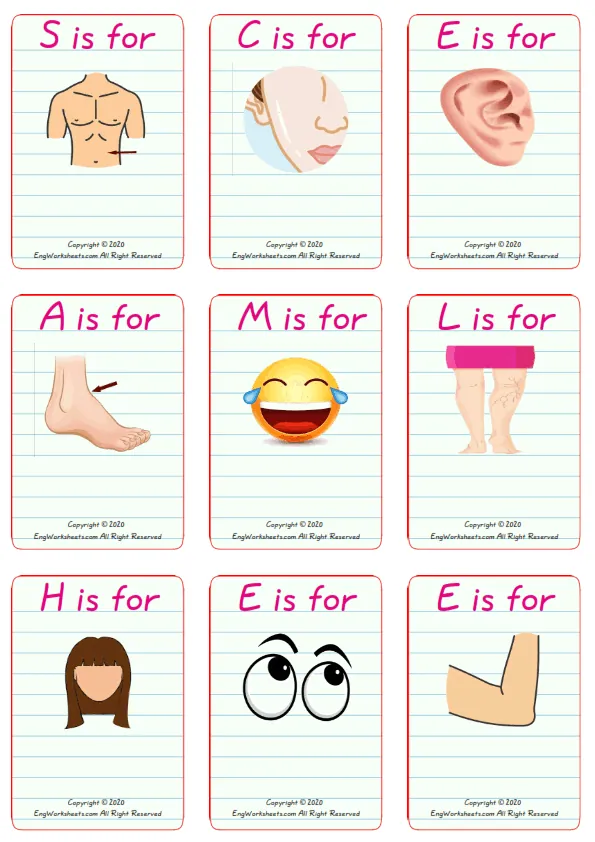 Wordless Body Parts vocabulary worksheet with nine images per page Worksheet Preview