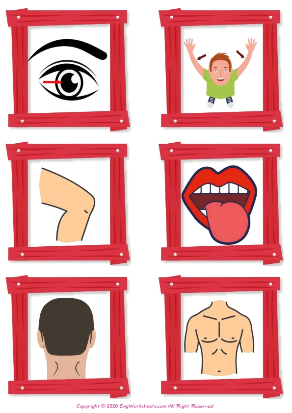 Wordless Body Parts vocabulary worksheet with six images per page Worksheet Preview
