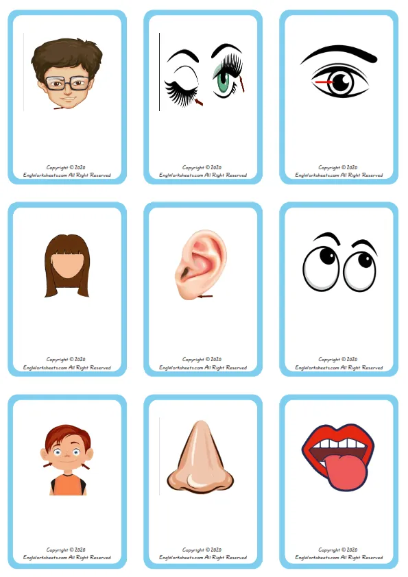 Wordless Face Parts vocabulary worksheet with nine images per page Worksheet Preview