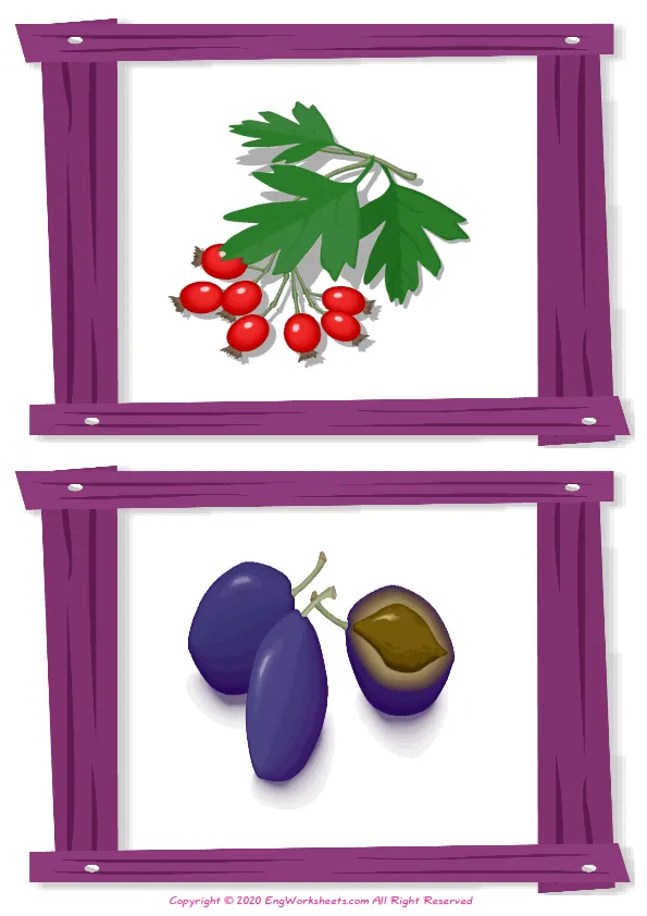 Wordless Fruits vocabulary worksheet with two images per page Worksheet Preview