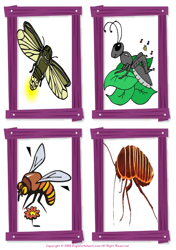 Wordless Insects vocabulary worksheet with four images per page Worksheet Preview