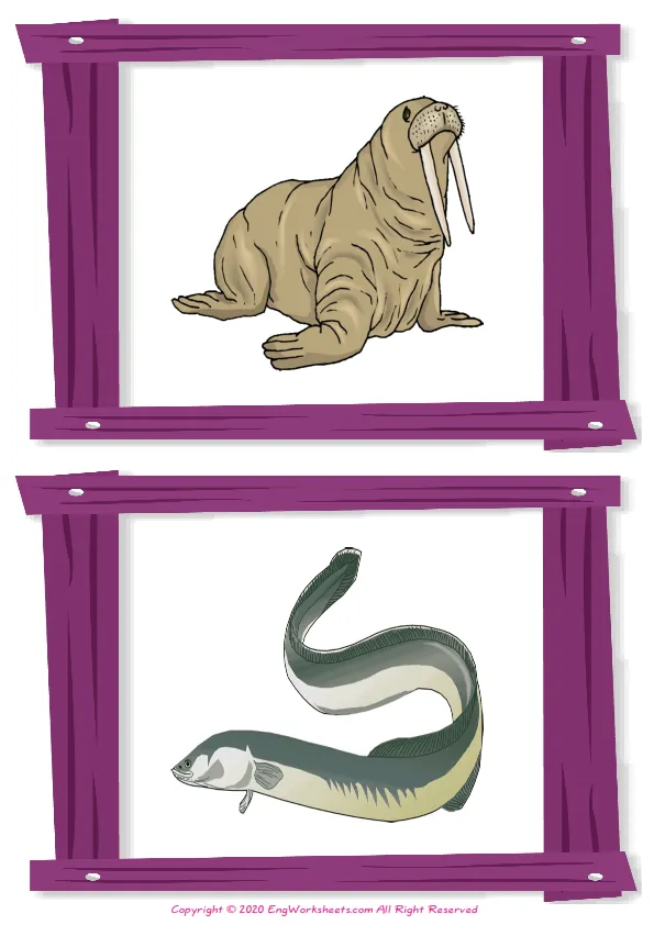 Wordless Sea Animals vocabulary worksheet with two images per page Worksheet Preview