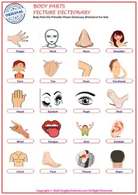 Body Parts