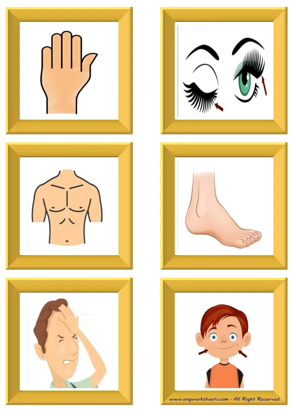 ESL Flashcard without words containing Body Parts picture for kids and teachers.