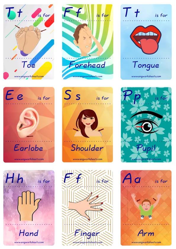 Mini size ESL Flashcard Body Parts for kids and teachers.