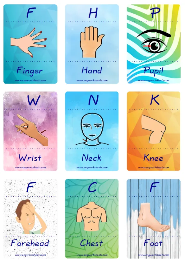 Mini size enjoyable ESL Flashcard Body Parts for kids and teachers.