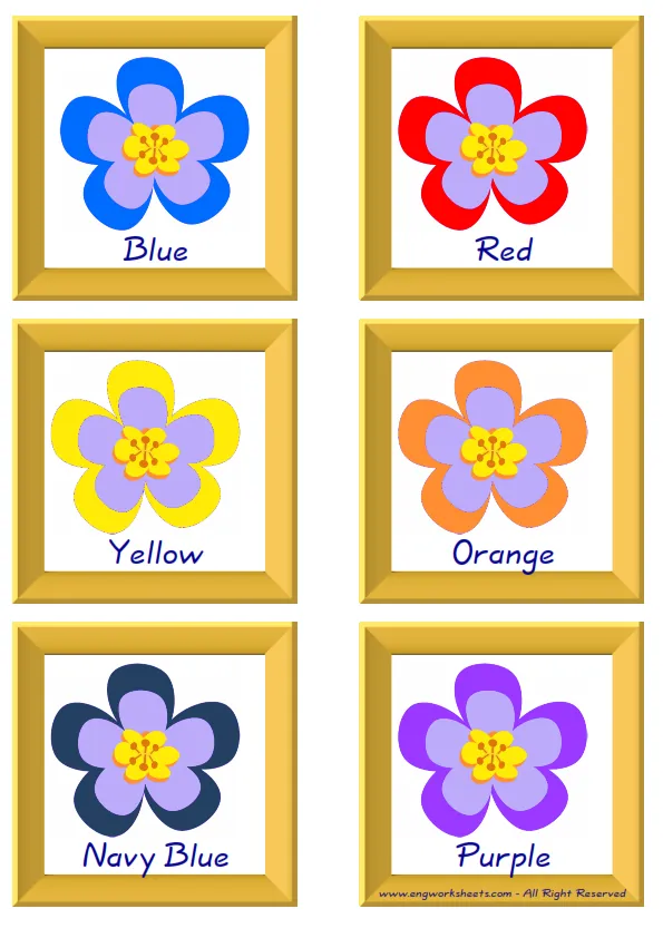 ESL Flashcard together with words containing Colour picture for kids and teachers.
