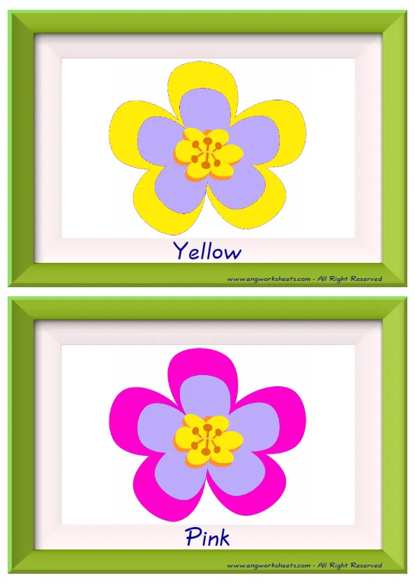 Half page ESL Flashcard together with words containing Colour picture for kids and teachers.