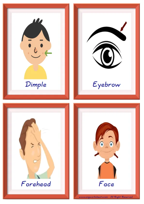 Quarter page ESL Flashcard together with words containing Face Parts picture for kids and teachers.