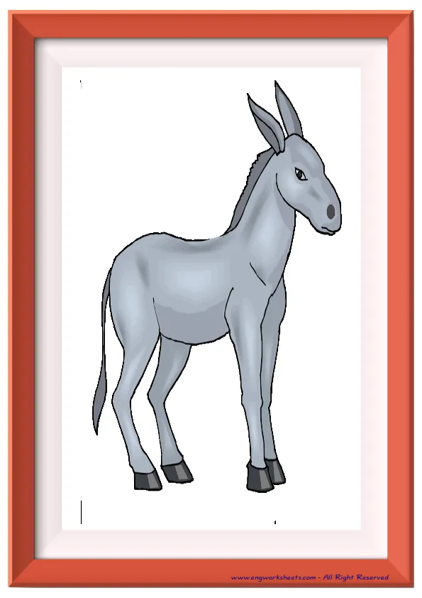 Full page ESL Flashcard without words containing Farm Animals picture for kids and teachers.