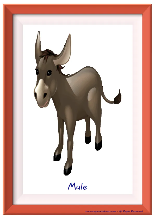 Full page ESL Flashcard together with words containing Farm Animals picture for kids and teachers.